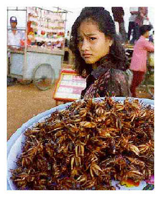 dish o crunchy locusts